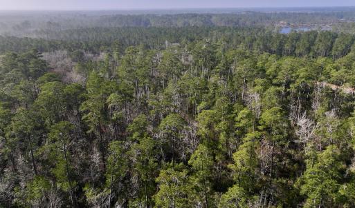 Photo #14 of SOLD property in 280 Arant Farm Rd, Merritt, NC 10.1 acres