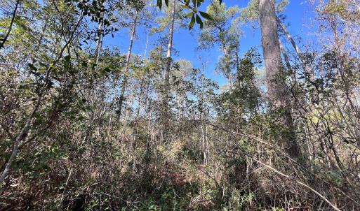 Photo #16 of SOLD property in 280 Arant Farm Rd, Merritt, NC 10.1 acres