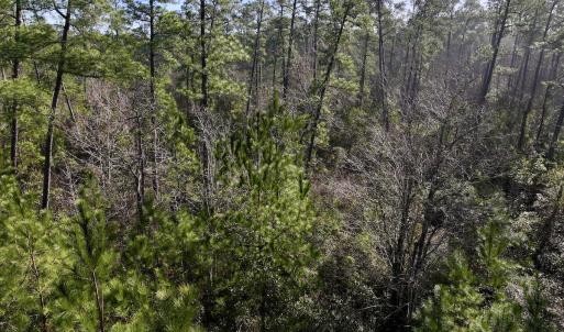 Photo #18 of SOLD property in 280 Arant Farm Rd, Merritt, NC 10.1 acres