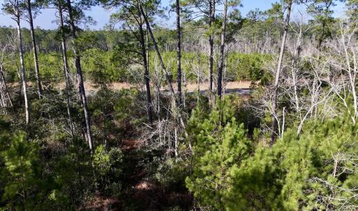 Photo #19 of SOLD property in 280 Arant Farm Rd, Merritt, NC 10.1 acres