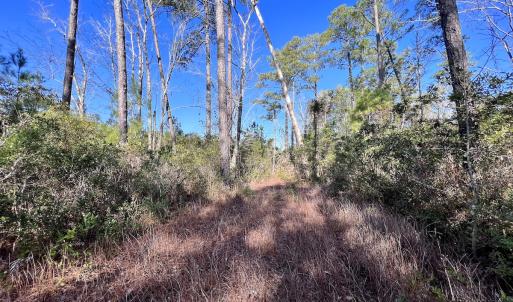 Photo #20 of SOLD property in 280 Arant Farm Rd, Merritt, NC 10.1 acres