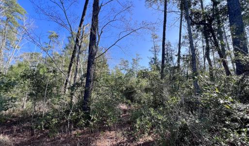 Photo #5 of SOLD property in 280 Arant Farm Rd, Merritt, NC 10.1 acres