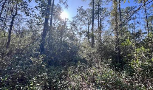 Photo #6 of SOLD property in 280 Arant Farm Rd, Merritt, NC 10.1 acres