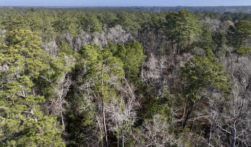 Photo #7 of SOLD property in 280 Arant Farm Rd, Merritt, NC 10.1 acres