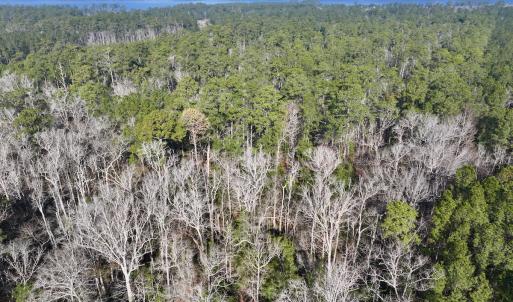 Photo #8 of SOLD property in 280 Arant Farm Rd, Merritt, NC 10.1 acres