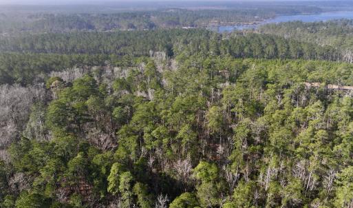 Photo #10 of SOLD property in 280 Arant Farm Rd, Merritt, NC 10.1 acres
