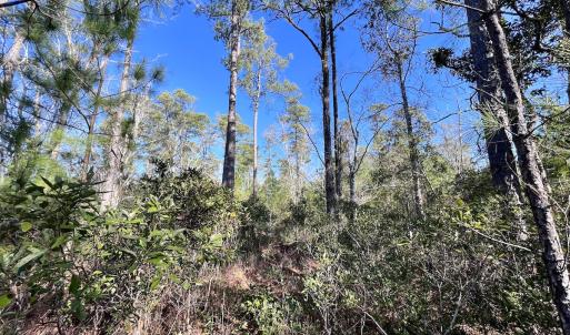 Photo #21 of SOLD property in 280 Arant Farm Rd, Merritt, NC 10.1 acres