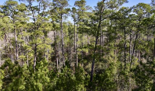 Photo #23 of SOLD property in 280 Arant Farm Rd, Merritt, NC 10.1 acres