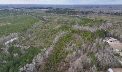 Photo #2 of SOLD property in Off Martin Luther Rd, Plymouth, NC 20.1 acres