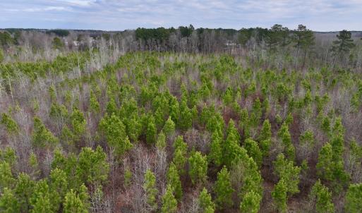 Photo #11 of SOLD property in Off Martin Luther Rd, Plymouth, NC 20.1 acres