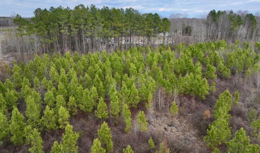 Photo #12 of SOLD property in Off Martin Luther Rd, Plymouth, NC 20.1 acres