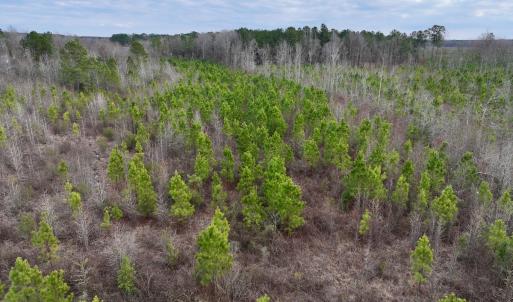Photo #13 of SOLD property in Off Martin Luther Rd, Plymouth, NC 20.1 acres