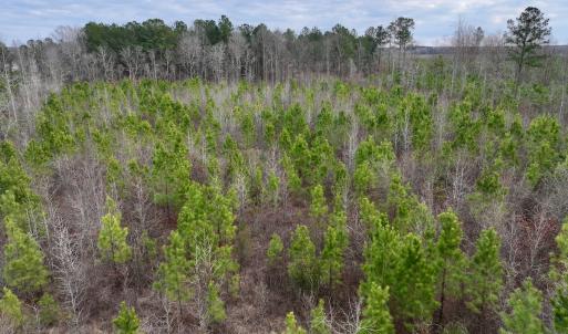 Photo #14 of SOLD property in Off Martin Luther Rd, Plymouth, NC 20.1 acres
