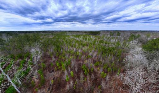 Photo #15 of SOLD property in Off Martin Luther Rd, Plymouth, NC 20.1 acres