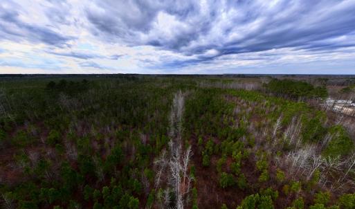 Photo #16 of SOLD property in Off Martin Luther Rd, Plymouth, NC 20.1 acres
