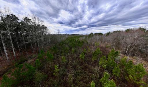 Photo #17 of SOLD property in Off Martin Luther Rd, Plymouth, NC 20.1 acres