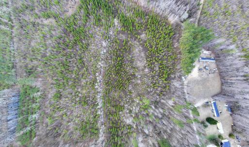 Photo #18 of SOLD property in Off Martin Luther Rd, Plymouth, NC 20.1 acres