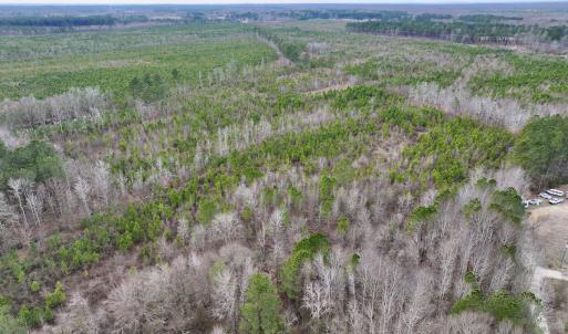 Photo #3 of SOLD property in Off Martin Luther Rd, Plymouth, NC 20.1 acres