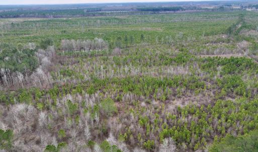 Photo #4 of SOLD property in Off Martin Luther Rd, Plymouth, NC 20.1 acres