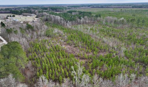 Photo #5 of SOLD property in Off Martin Luther Rd, Plymouth, NC 20.1 acres