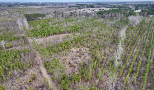 Photo #7 of SOLD property in Off Martin Luther Rd, Plymouth, NC 20.1 acres