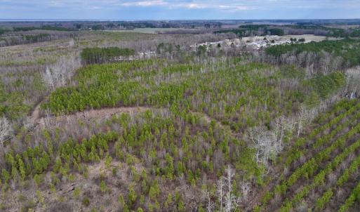 Photo #8 of SOLD property in Off Martin Luther Rd, Plymouth, NC 20.1 acres