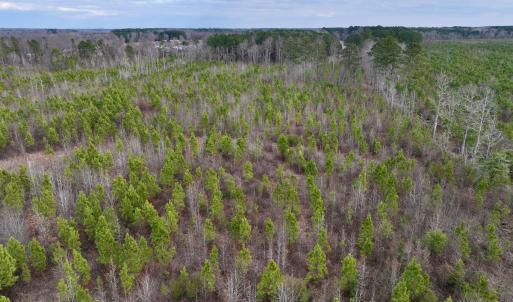Photo #9 of SOLD property in Off Martin Luther Rd, Plymouth, NC 20.1 acres