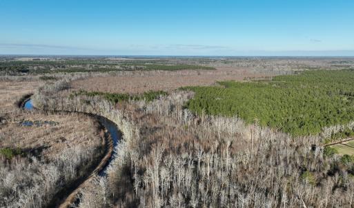 Photo #5 of SOLD property in 571 Old Cherry Rd, Creswell, NC 26.0 acres