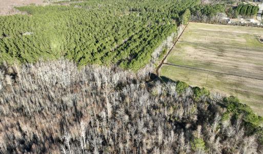 Photo #6 of SOLD property in 571 Old Cherry Rd, Creswell, NC 26.0 acres