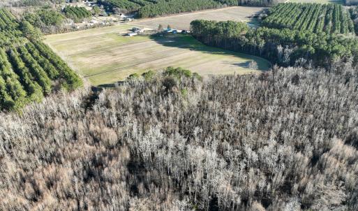 Photo #8 of SOLD property in 571 Old Cherry Rd, Creswell, NC 26.0 acres