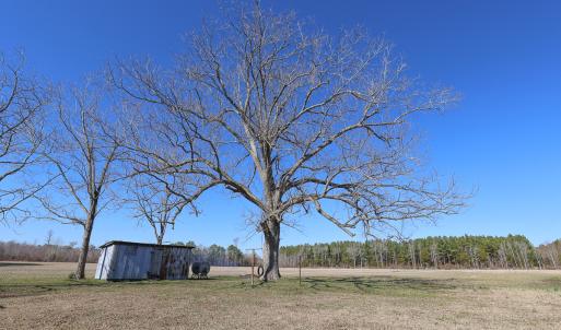Photo #29 of SOLD property in 571 Old Cherry Rd, Creswell, NC 26.0 acres