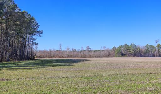 Photo #32 of SOLD property in 571 Old Cherry Rd, Creswell, NC 26.0 acres
