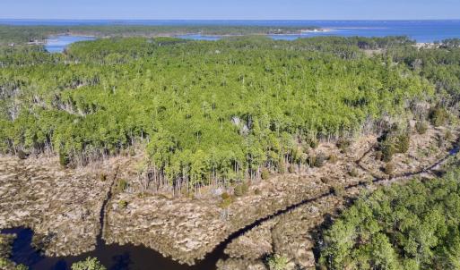 Photo #11 of SOLD property in 794 Wheaton Point Road, Aurora, NC 40.8 acres