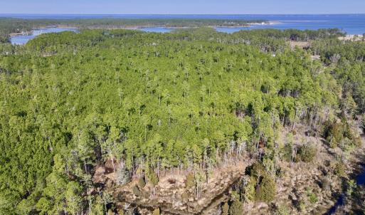 Photo #12 of SOLD property in 794 Wheaton Point Road, Aurora, NC 40.8 acres