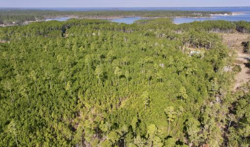 Photo #13 of SOLD property in 794 Wheaton Point Road, Aurora, NC 40.8 acres