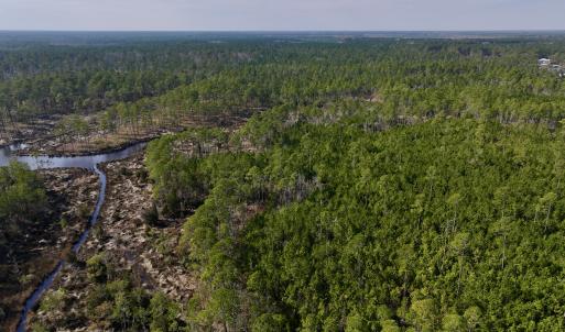 Photo #19 of SOLD property in 794 Wheaton Point Road, Aurora, NC 40.8 acres