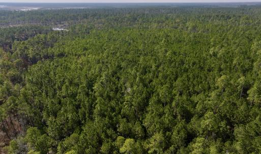 Photo #20 of SOLD property in 794 Wheaton Point Road, Aurora, NC 40.8 acres
