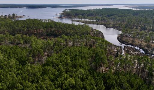 Photo #3 of SOLD property in 794 Wheaton Point Road, Aurora, NC 40.8 acres