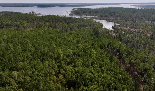 Photo #7 of SOLD property in 794 Wheaton Point Road, Aurora, NC 40.8 acres
