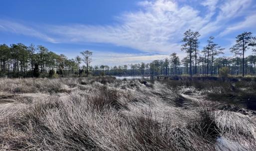 Photo #9 of SOLD property in 794 Wheaton Point Road, Aurora, NC 40.8 acres