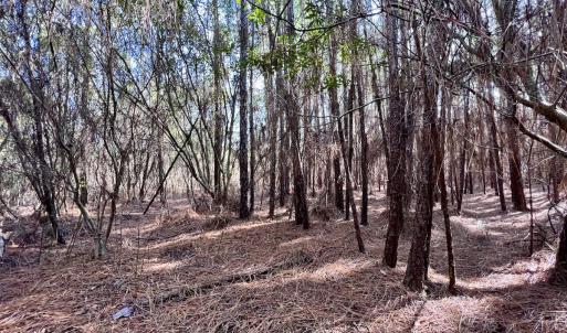 Photo #21 of SOLD property in 794 Wheaton Point Road, Aurora, NC 40.8 acres