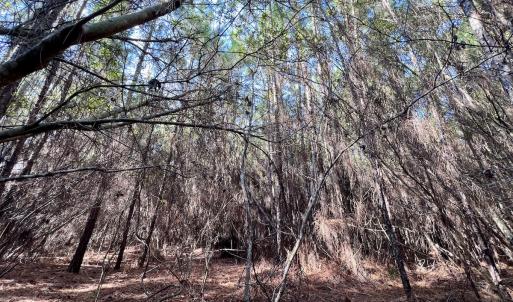 Photo #22 of SOLD property in 794 Wheaton Point Road, Aurora, NC 40.8 acres