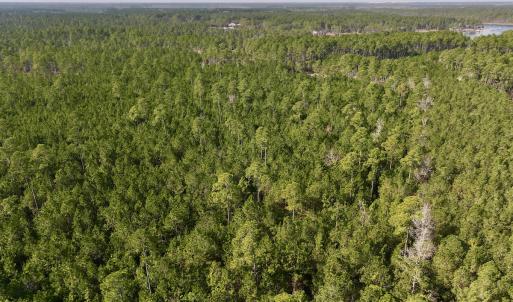 Photo #24 of SOLD property in 794 Wheaton Point Road, Aurora, NC 40.8 acres