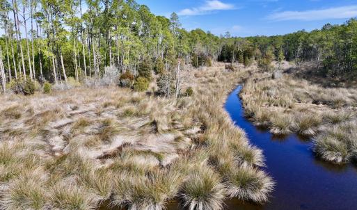 Photo #25 of SOLD property in 794 Wheaton Point Road, Aurora, NC 40.8 acres
