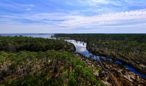 Photo #27 of SOLD property in 794 Wheaton Point Road, Aurora, NC 40.8 acres