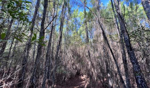 Photo #30 of SOLD property in 794 Wheaton Point Road, Aurora, NC 40.8 acres