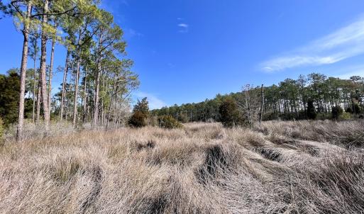 Photo #33 of SOLD property in 794 Wheaton Point Road, Aurora, NC 40.8 acres