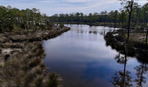 Photo #37 of SOLD property in 794 Wheaton Point Road, Aurora, NC 40.8 acres