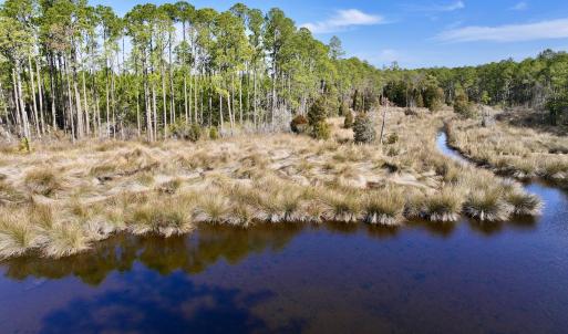 Photo #38 of SOLD property in 794 Wheaton Point Road, Aurora, NC 40.8 acres