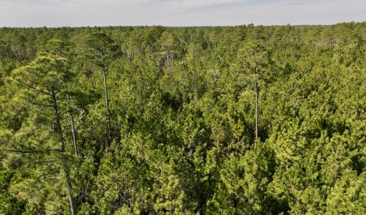 Photo #45 of SOLD property in 794 Wheaton Point Road, Aurora, NC 40.8 acres